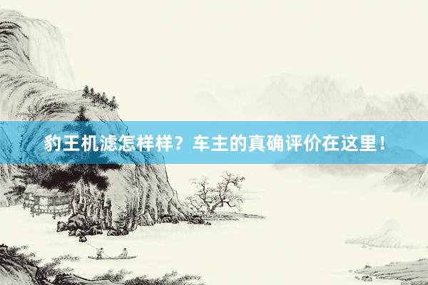 豹王机滤怎样样？车主的真确评价在这里！